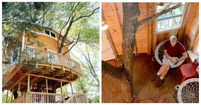 treehouse